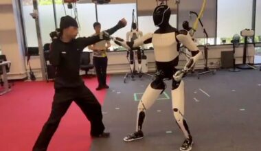 Tesla Optimus is learning martial arts in new video teasing capabilities