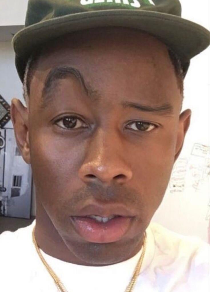 My reaction seeing this sub simping hard for the fascist girl that’s slowly destroying my country: