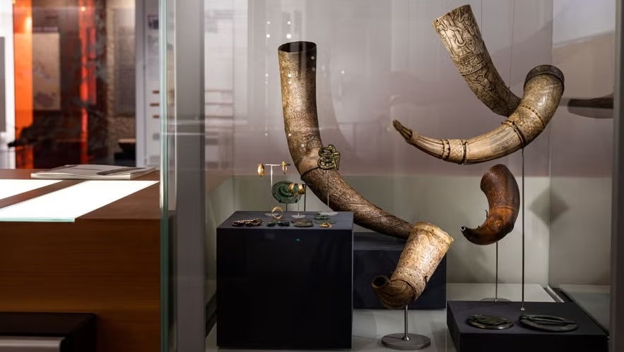 Display of carved Viking drinking horns and ancient jewelry in a glass museum exhibit.