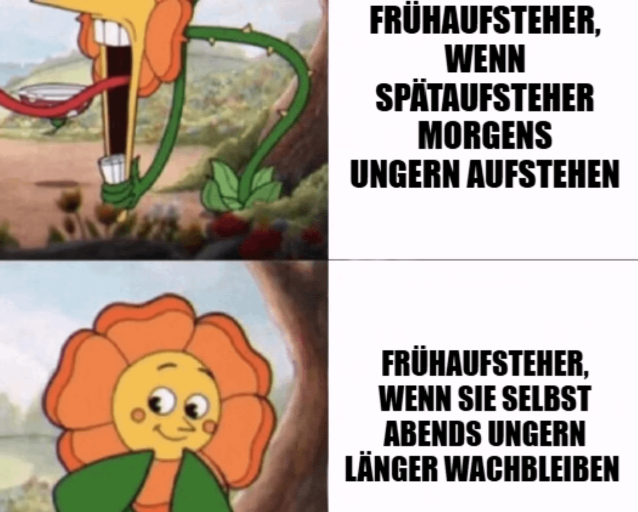 ich😴iel