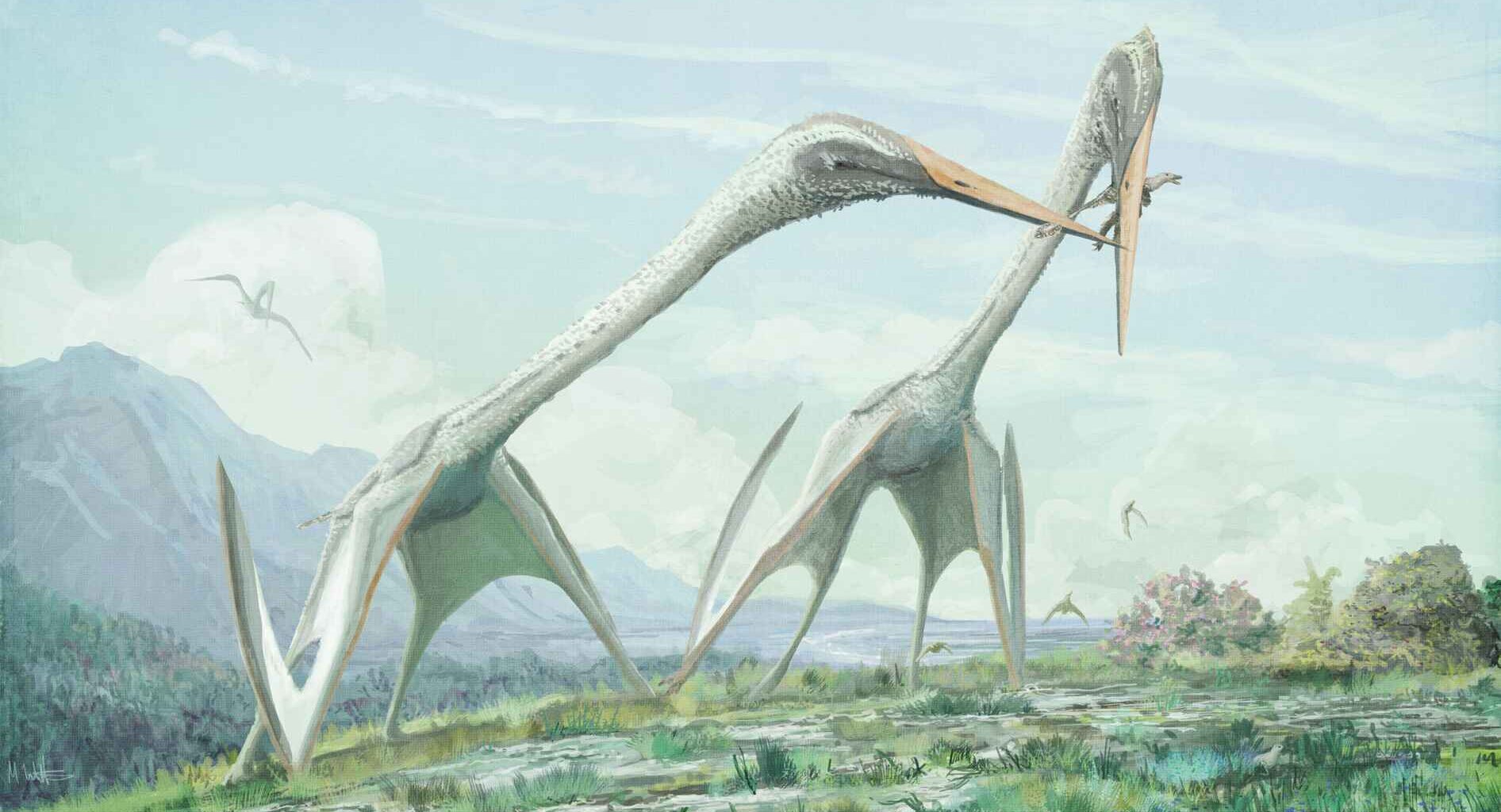 Two giant, long-necked azhdarchids
