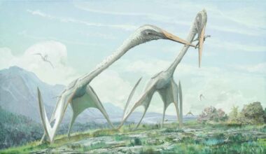 Two giant, long-necked azhdarchids