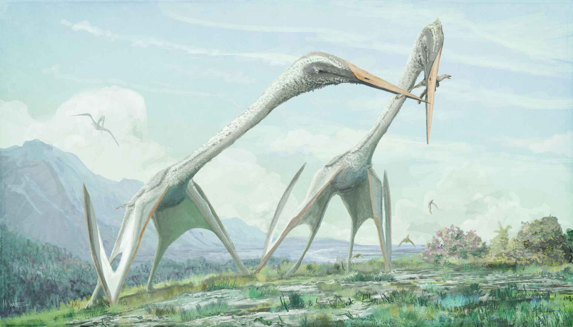 Two giant, long-necked azhdarchids