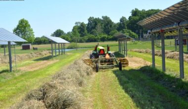 New Agrivoltaic Solutions Keep Bubbling Up, Despite The Renewable Energy Clampdown