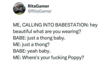 Country has gone to the dogs