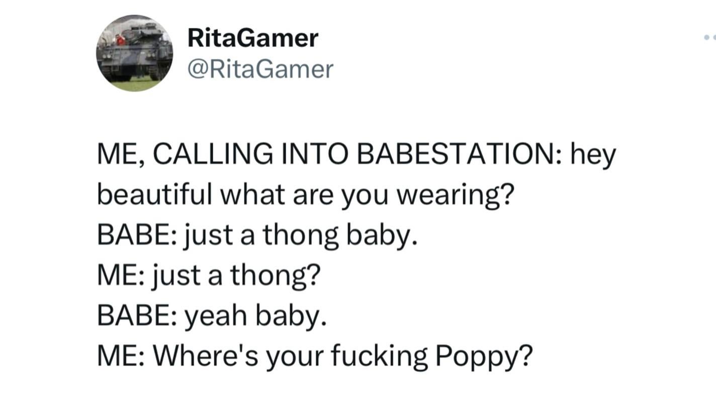 Country has gone to the dogs