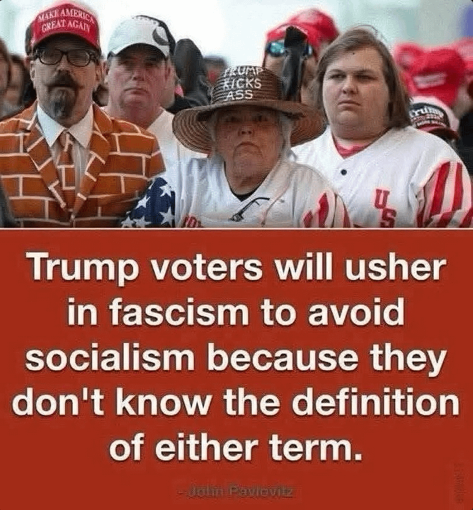 “The problem with people like this is that they are so stupid, they have no idea how stupid they are.”