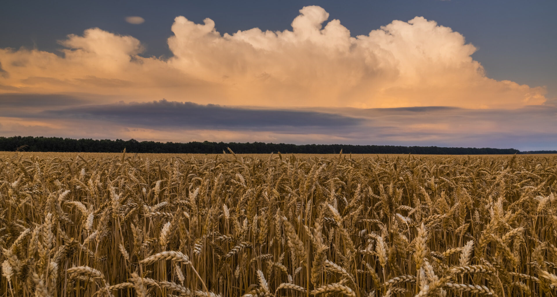 Magyarország két szövetségesével verhet szöget a nagy brüsszeli terv koporsójába