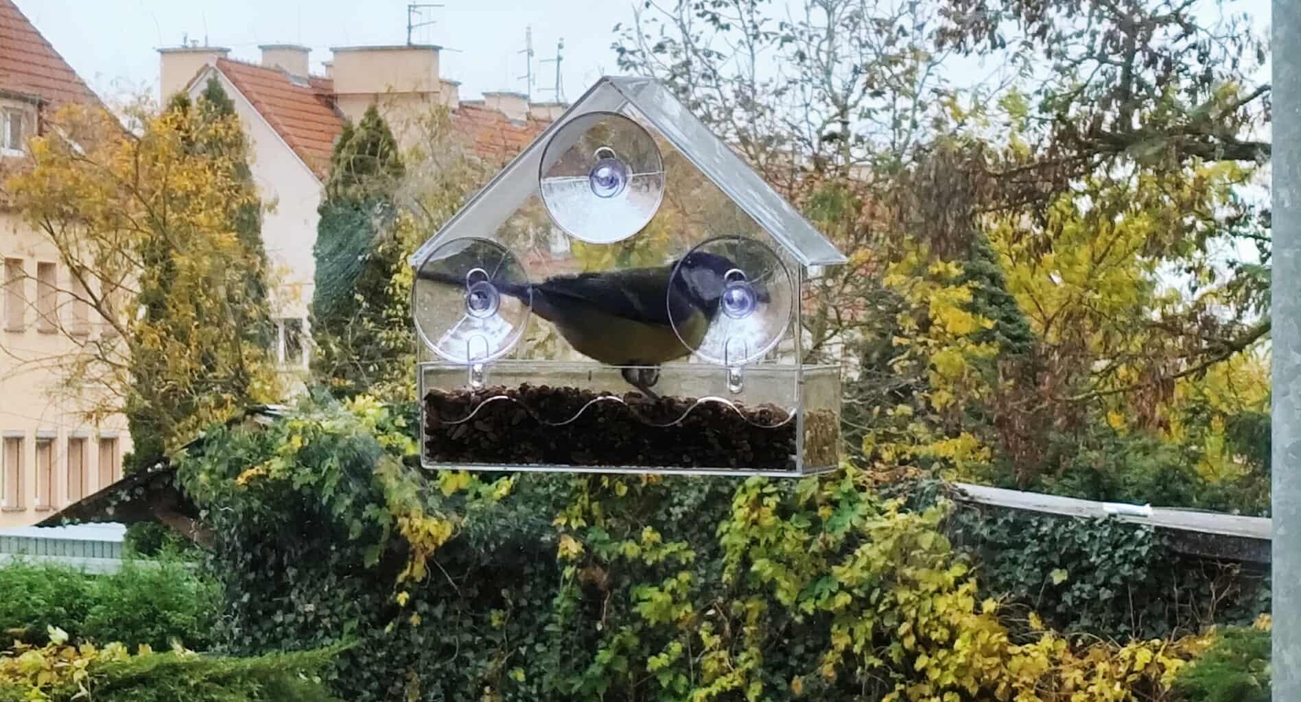 Karmnik w oknie to spoko sprawa