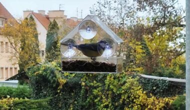 Karmnik w oknie to spoko sprawa