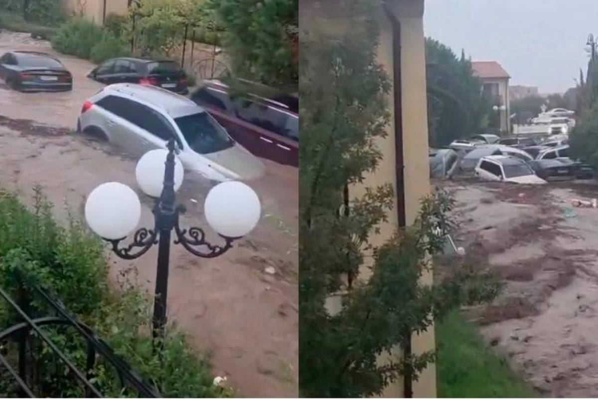 Three killed in Bulgaria floods as heavy rain hits Black Sea resort