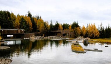 Laugarás Lagoon redefines Iceland’s geothermal wellness and dining