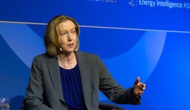 Woodside CEO Confident in NWS LNG Extension Approval Legality