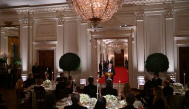 Bipartisan US governors' group divided over POTUS deployment of troops to states