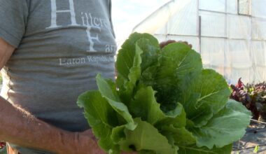 Eaton Rapids farm avoids soybean trade war impact with local produce focus