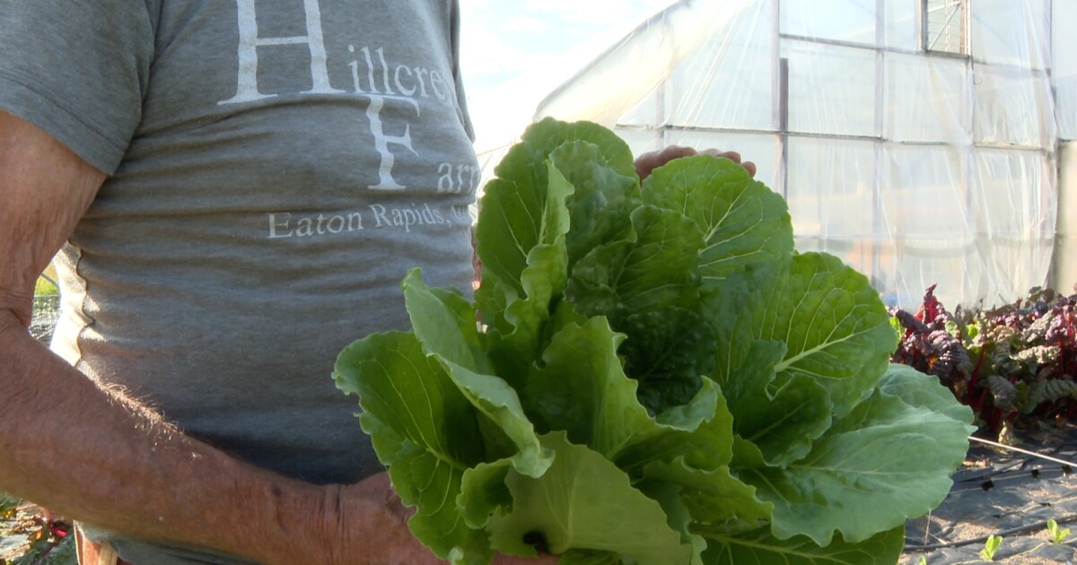 Eaton Rapids farm avoids soybean trade war impact with local produce focus