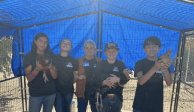 Marana agricultural science class receives grant to expand hands-on learning