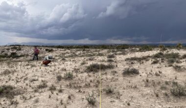 DOGE cuts $2.5M for New Mexico conservation