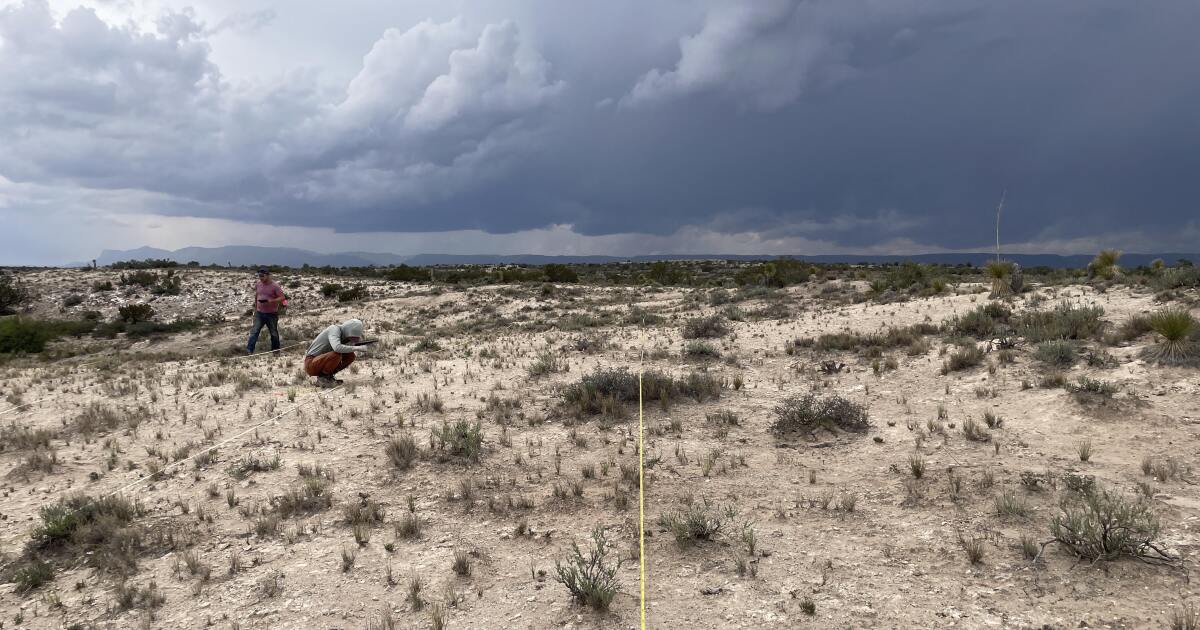 DOGE cuts $2.5M for New Mexico conservation