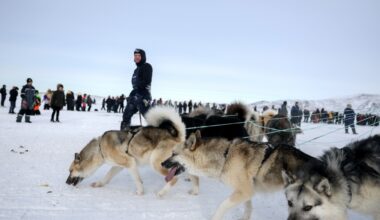 As U.S. foreign aid grants get slashed, Greenland gets money for a dog race : NPR