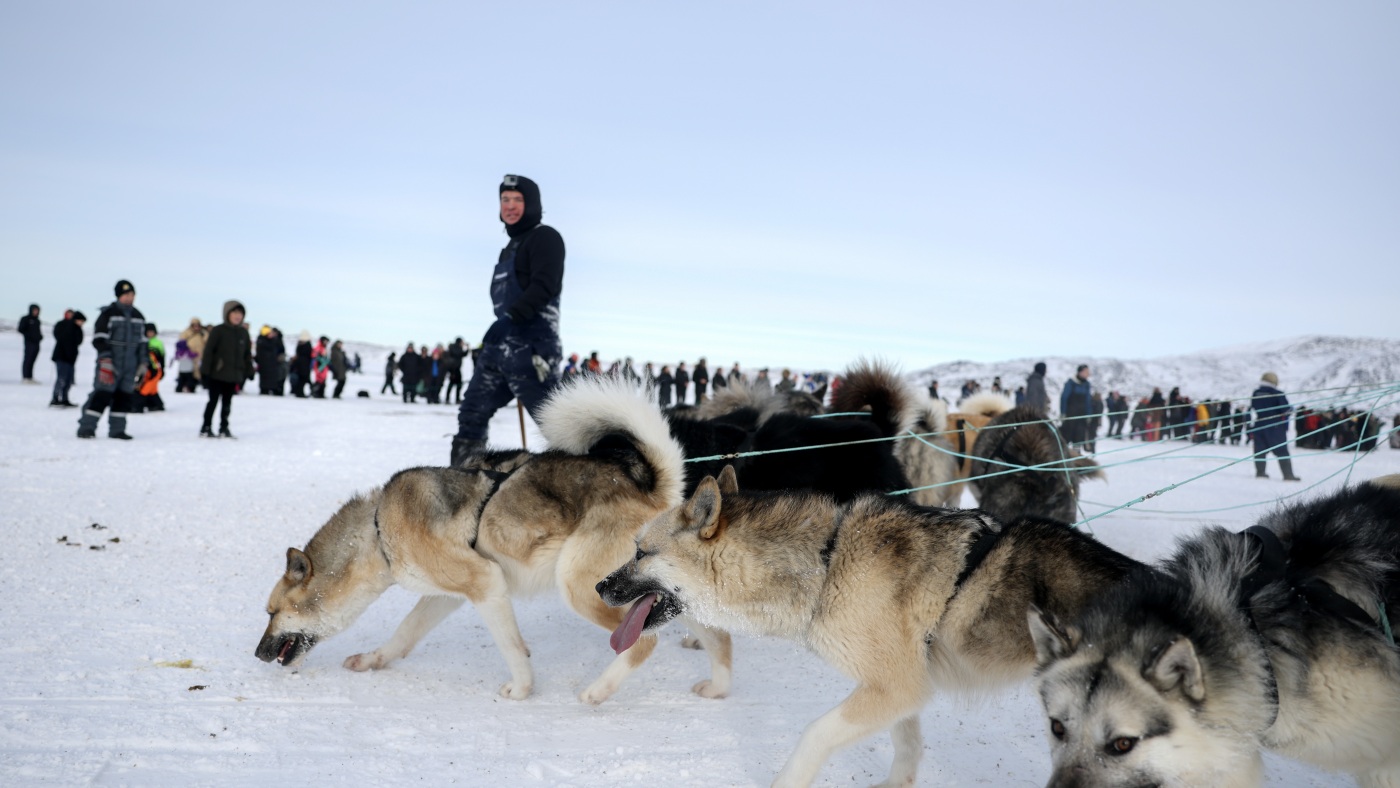 As U.S. foreign aid grants get slashed, Greenland gets money for a dog race : NPR