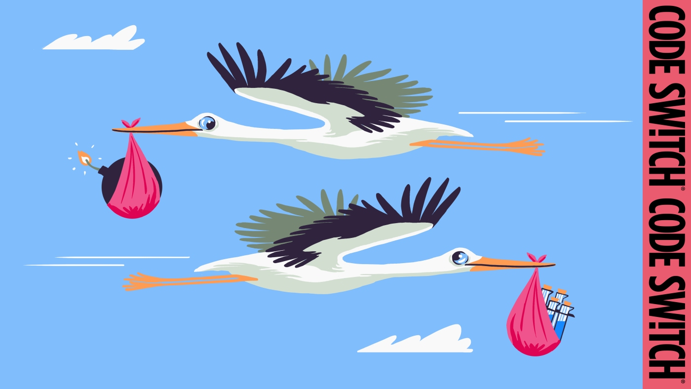 How Elon Musk and JD Vance plan to 'save civilization' with more babies : Code Switch : NPR