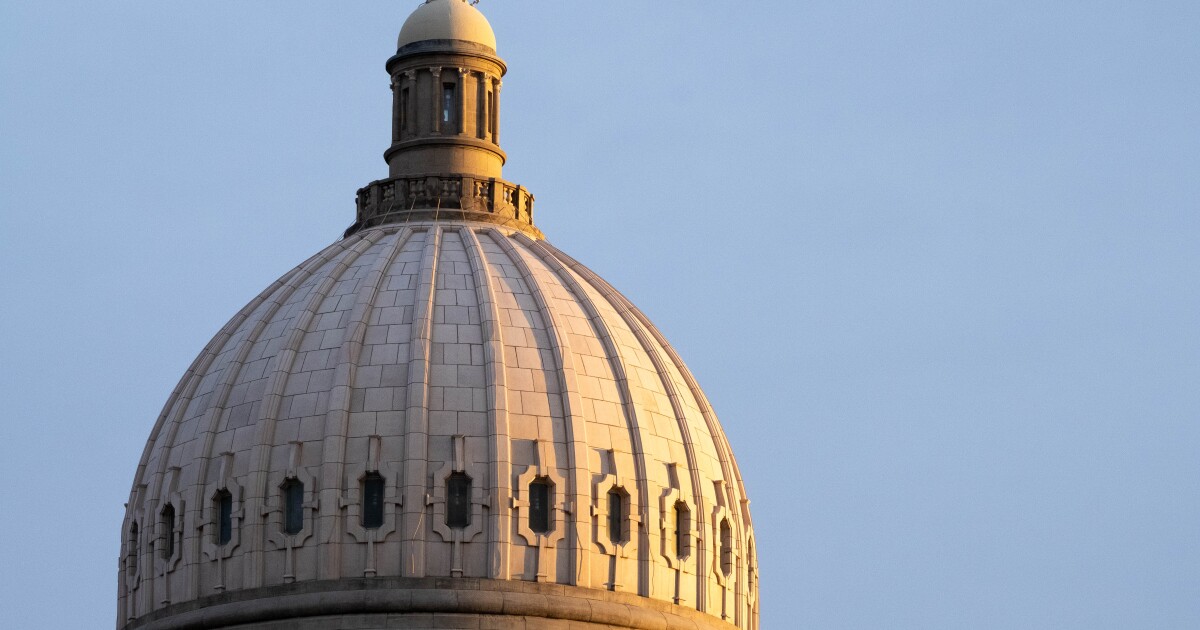 Idaho DOGE task force eyes agency consolidation, elimination