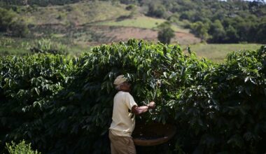 3 big things happening in the coffee world : NPR
