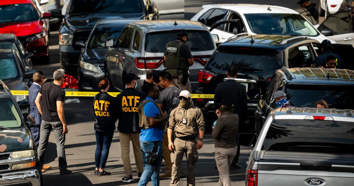 ICE agent wounds deputy U.S. marshal, TikTok streamer during L.A. operation