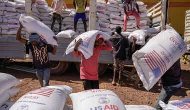 Trump, Musk's USAID Shutdown, Explained