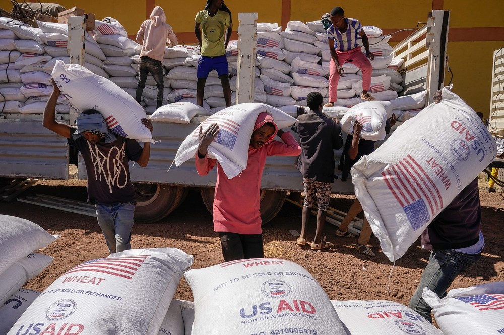 Trump, Musk's USAID Shutdown, Explained