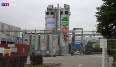 "Le climat est délétère pour notre industrie" : demain, une France sans usine ?