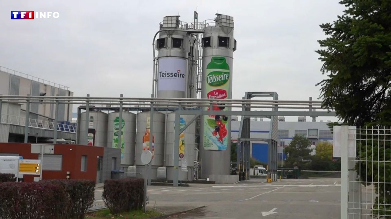 "Le climat est délétère pour notre industrie" : demain, une France sans usine ?