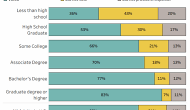 Voter turnout in the 2024 Presidential Election by educational attainment [OC]