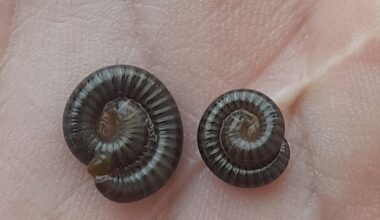 Gerade eben habe ich diese beiden kleinen Racker im Treppenhaus gefunden und vor die Tür gesetzt