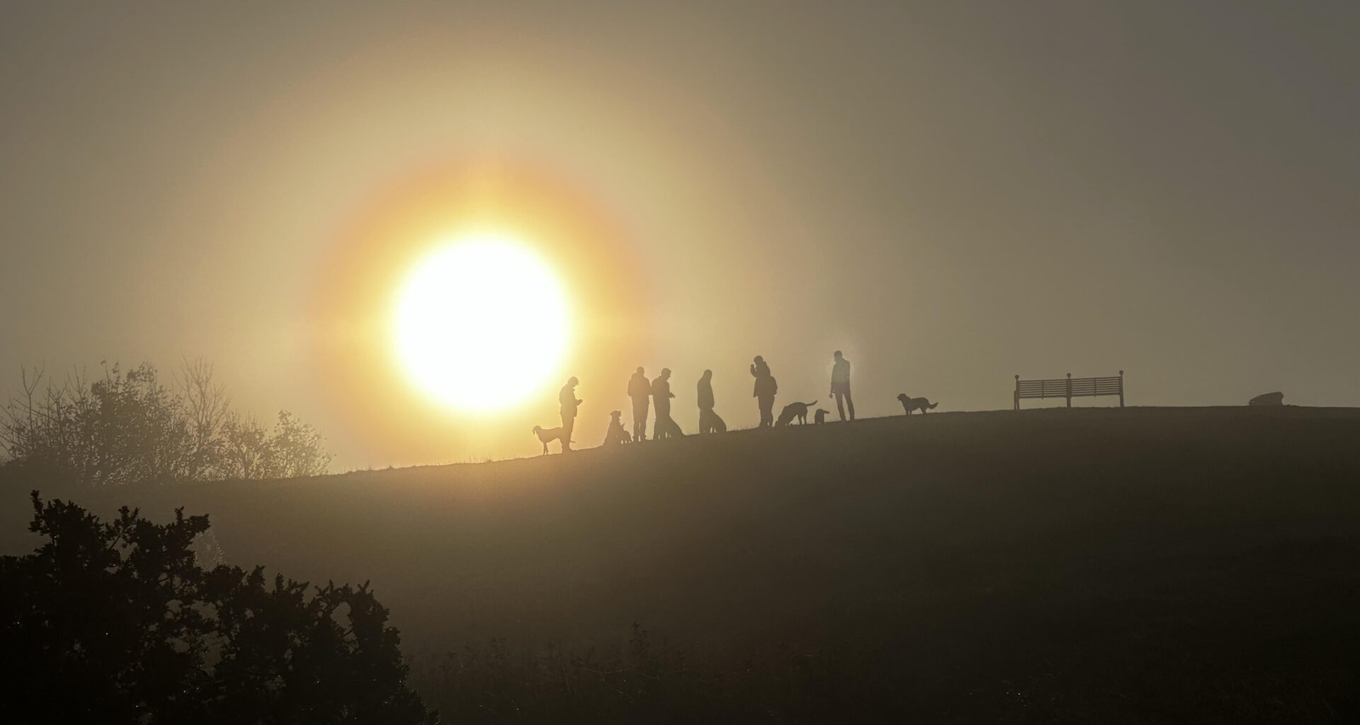 Dog walkers on Craiglockhart hill this morning.