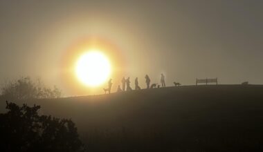 Dog walkers on Craiglockhart hill this morning.