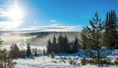 First Snow and Strong Winds to Hit Czechia