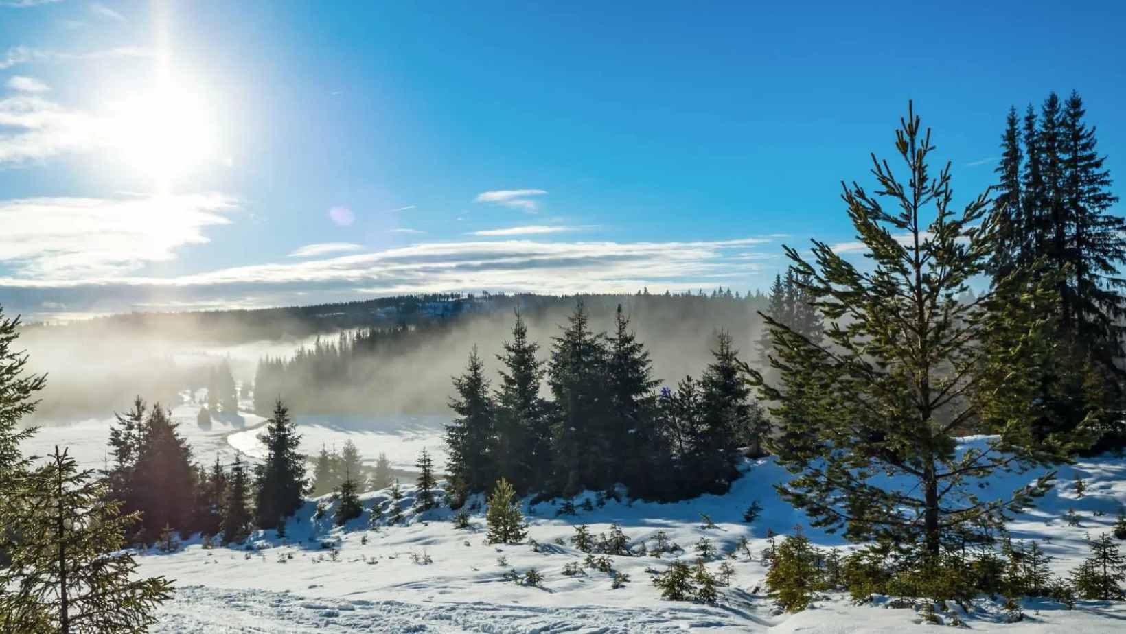 First Snow and Strong Winds to Hit Czechia