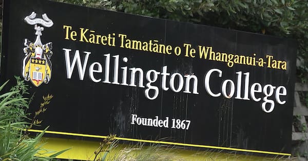 Two measles cases at Wellington colleges prompts stay home order
