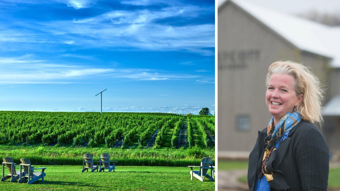 A lush green wineyard and a woman with blonde hair smiles at the camera. 