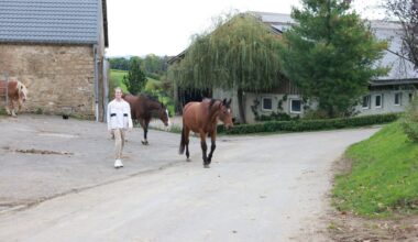 Kevin ist einer von gerade einmal 28 Einwohnern der kleinen Ortschaft Savelborn. In die Hauptstadt zu ziehen, kann er sich nicht vorstellen – und ist damit nicht allein.