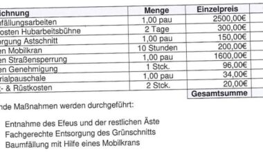 Ist das ein valider Preis für eine Baumfällung?