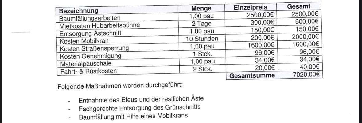 Ist das ein valider Preis für eine Baumfällung?