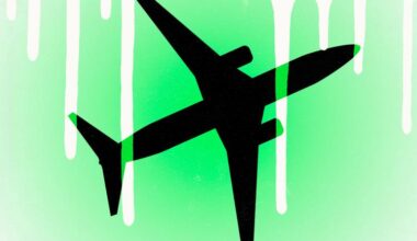 Ny 'grøn' flyrute vil svine mere, end hvis den fløj på sort brændstof