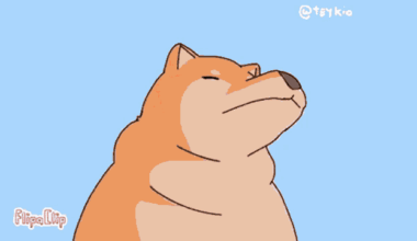 une animation pour les bonquistes
