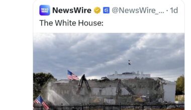 Trump did what Bin Laden could not do