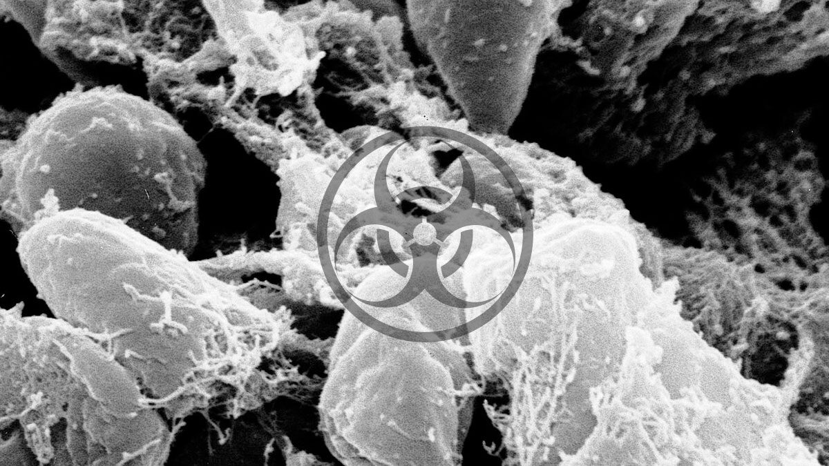 NATO and FLI Lead International Workshop on Zoonotic and Bioterrorism Threats