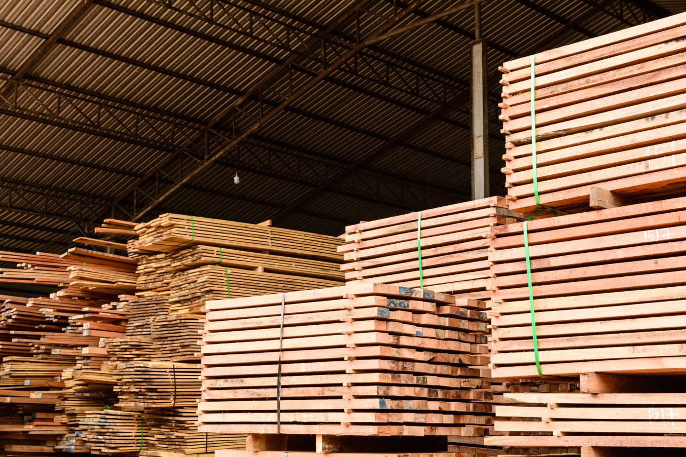Exports of lumber from European Union to Egypt decline 51% in August