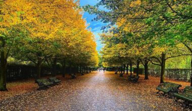 Autumn in Regent’s Park really hits different 🍂